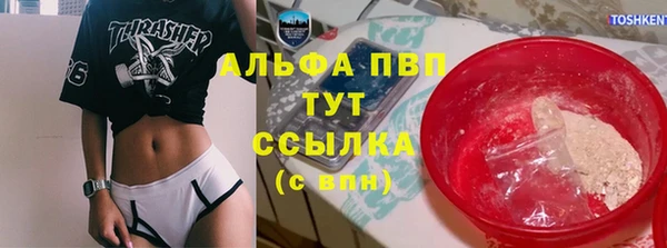 PSILOCYBIN Сафоново