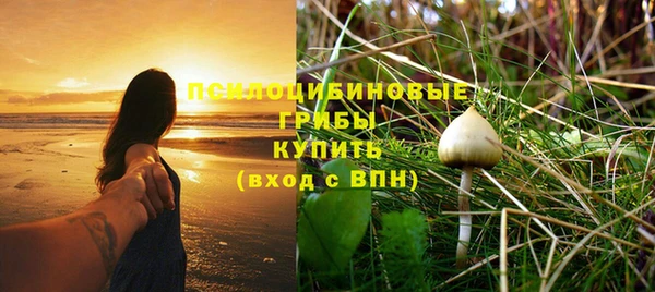 PSILOCYBIN Сафоново