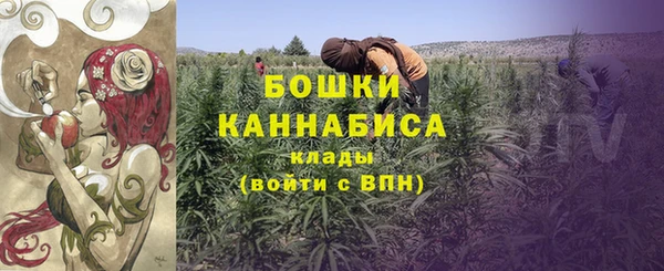 PSILOCYBIN Сафоново