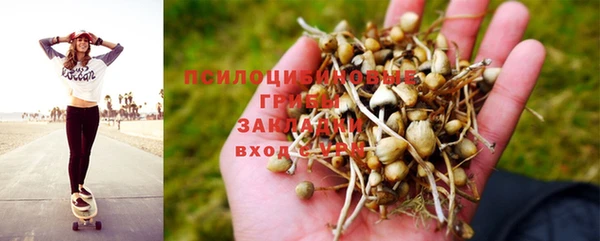 PSILOCYBIN Сафоново